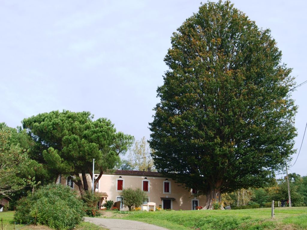 La ferme du domaine de Hillon nichée sous les frondaisons à Poudenas, en Gascogne